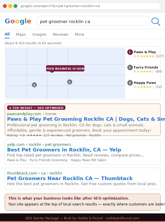 SEO Starter Package Google search results sample