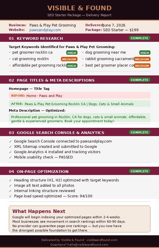 SEO Starter Package delivery report sample